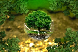 Environment artist job Environment artist job